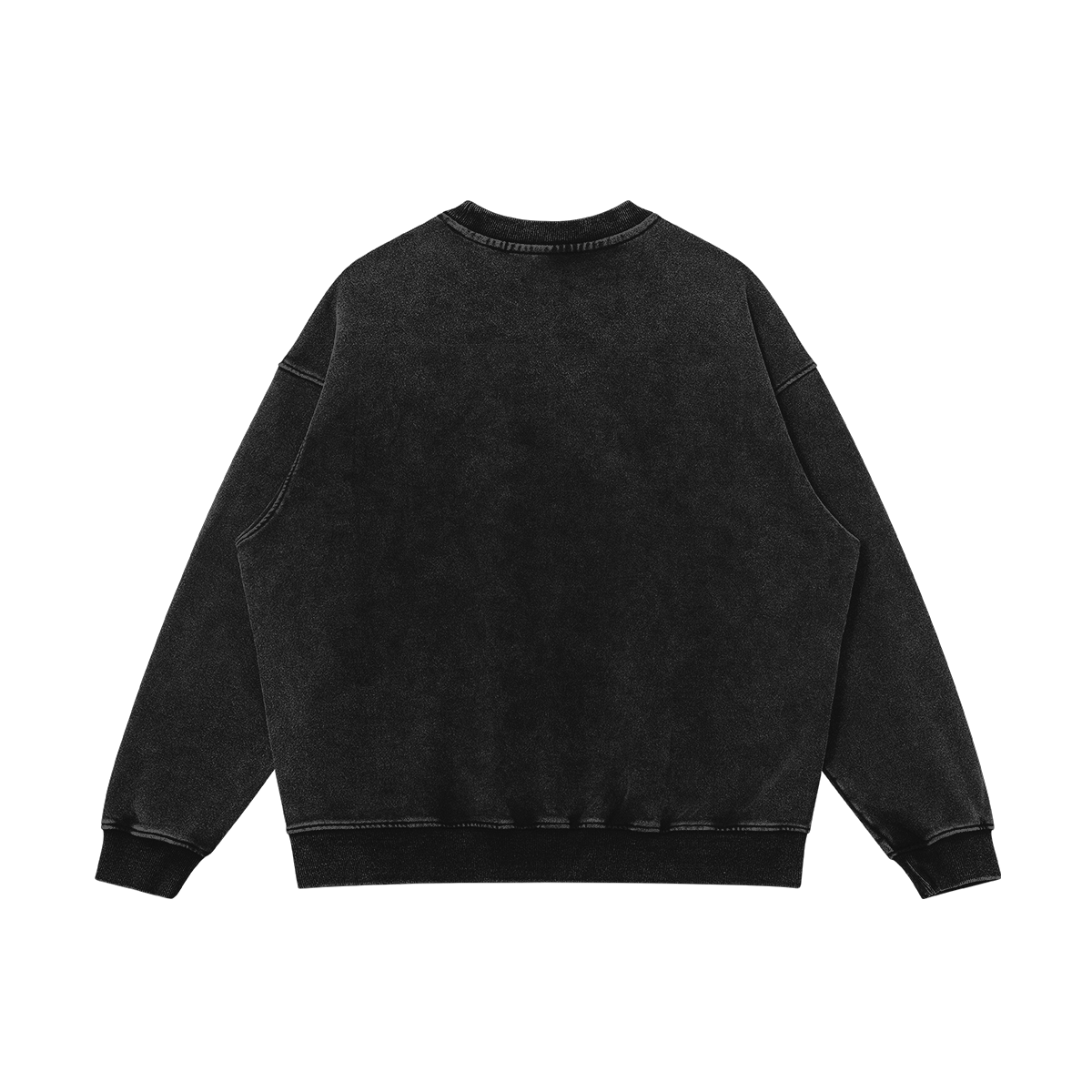 Aenatomy Heavyweight Sweatshirt