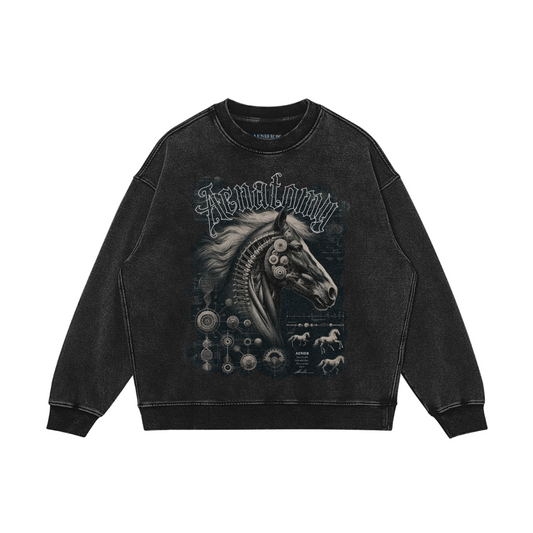 Aenatomy Heavyweight Sweatshirt