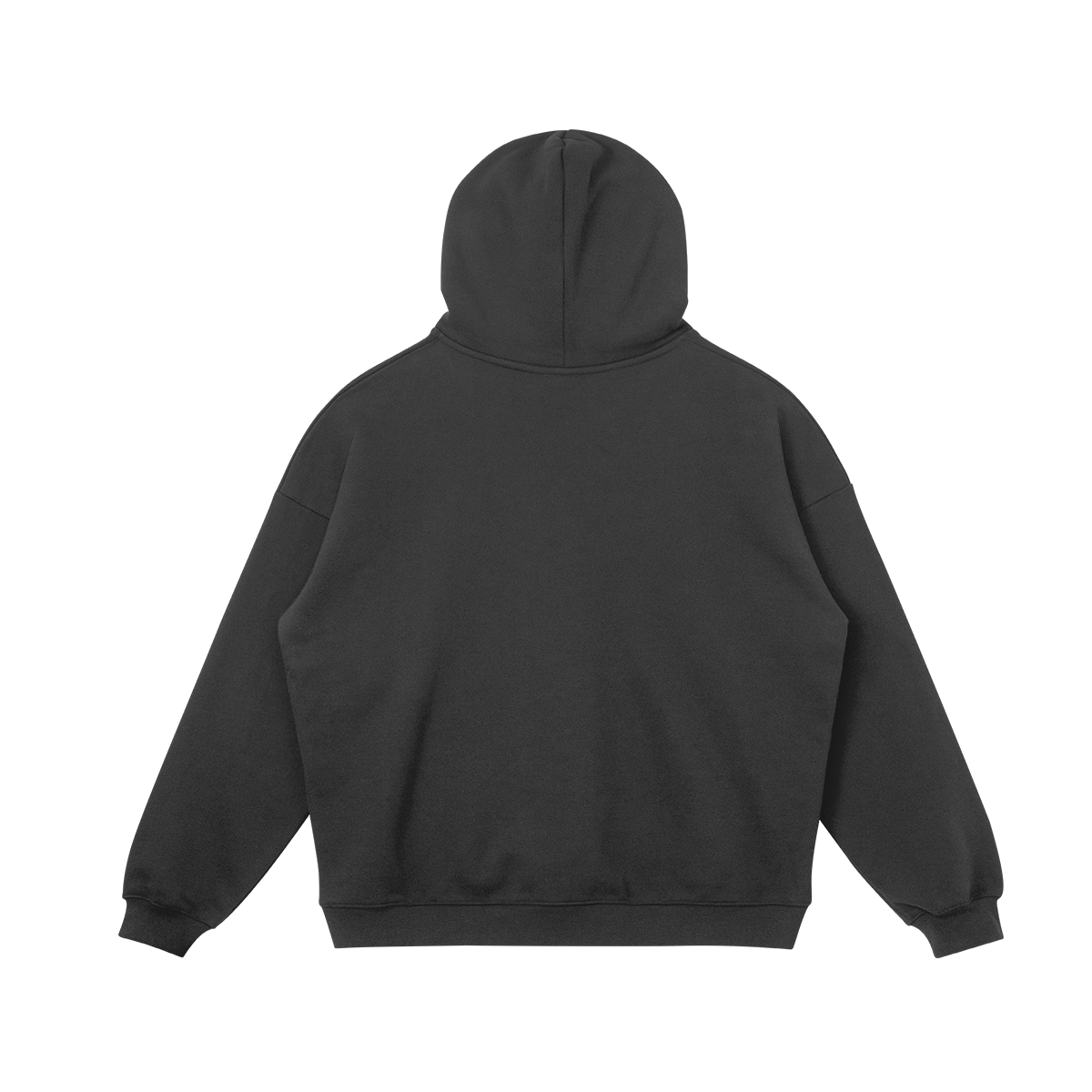 Big Logo Heavyweight Hoodie